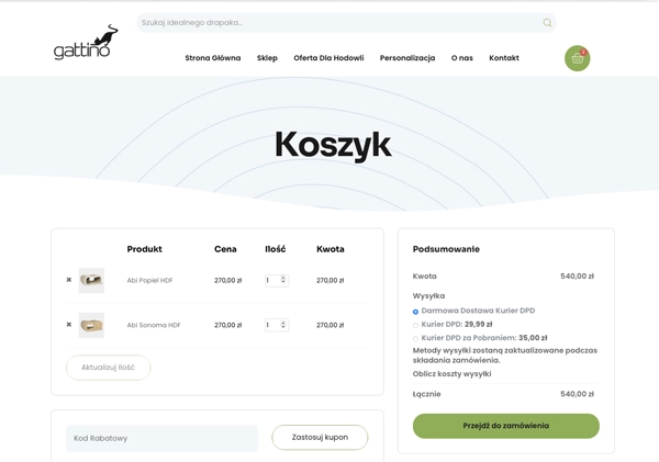 Sklepy Internetowe - Budowa Sklepów Internetowych - Projektowanie Sklepów Internetowych
